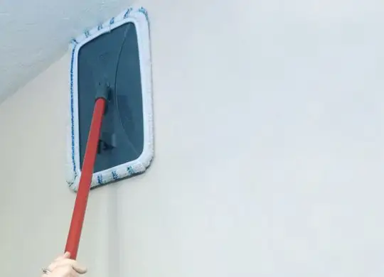 Duvar Duvar Kağıdı Temizliği hizmeti