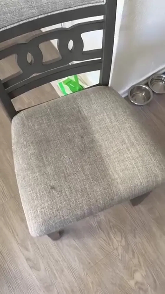 Yerinde koltuk temizliği videosu kapak görseli